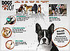 Tune In, Saturday! Animal Planet's Dogs 101