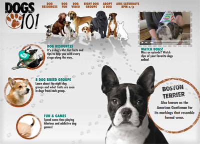 Tune In, Saturday! Animal Planet's Dogs 101 Tune In, Saturday! Animal Planet's Dogs 101