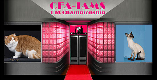 Have You Ever Attended a Cat Show?