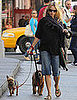 Naomi Watts Walks Her Dogs, Bob and Ned, in New York City