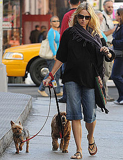 Naomi Watts Walks Her Dogs, Bob and Ned, in New York City
