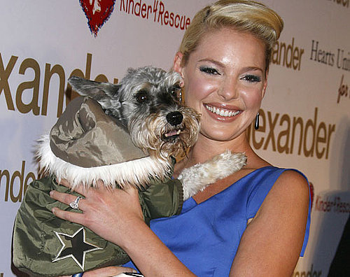 In the Spotlight: No More Pups or Heigl's in the Doghouse!