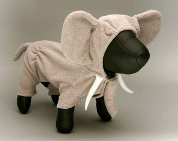 Mission Completed: Halloween Costumes For Pets