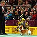 Pembroke Welsh Corgi