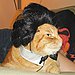 Throwback Hat for a Throwback Cat