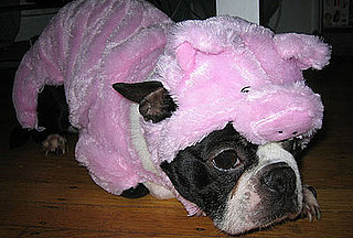 Happy Howl-oween: North's Big Costume Reveal Here!