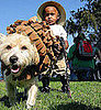 To the Rescue: How Do You Keep Pets Safe on Halloween?