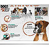 What Did We Learn About the Latest Breeds on Dogs 101?