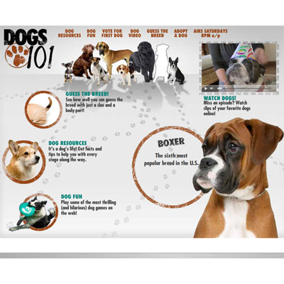 What Did We Learn About the Latest Breeds on Dogs 101? What Did We Learn About the Latest Breeds on Dogs 101?