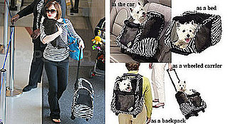 Found! Rose McGowan's Four-in-One Pet Carrier