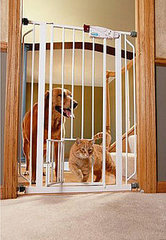 Do You Have A Pet Gate? Do You Have A Pet Gate?