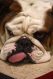 Do You Know the Reason Why Your Smooshy's So Stinky?!
