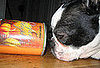 Happy Thanksgiving From PetSugar! 