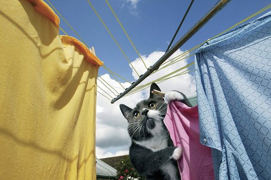 Hang it out to dry