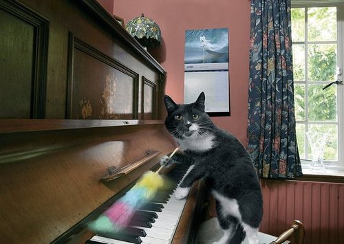 Tickling the ivories . . . Tickling the ivories . . .