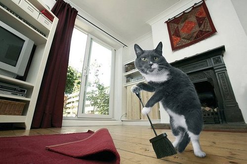 Time for sweeps Time for sweeps