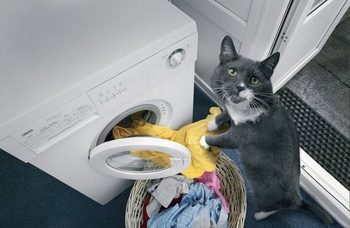 Do you fold them, too? Do you fold them, too?