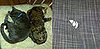 I Need Your Help . . . Can Kitty Be Obsessive and Compulsive? 