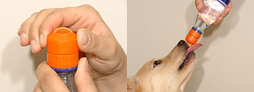 Make Any Water Bottle Ready For Easy Sippies Make Any Water Bottle Ready For Easy Sippies