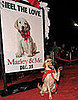 Will You Go See Marley & Me in Theatres? 