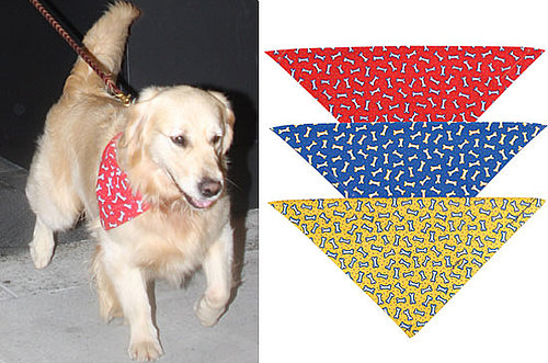 Found! Deck the Dog Like Nicollette's For Under Three Bucks