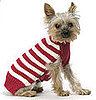 Come PetMarking With Me: Cozy Sweaters