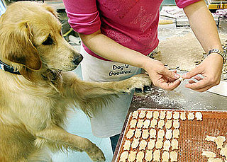 Baking These Homemade Dog Cookies For Holiday Gifts Is One Yummy Idea!