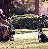 Photos of Socks, First Cat of Former President Bill Clinton (and Chelsea Clinton) Who Died Of Lung Cancer In Betty Currie's Care