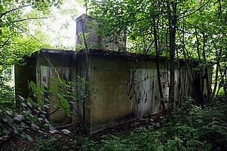 Survival of the Prepared? Is It Time to Build a Bunker? 