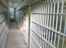 "Snake Man" Slithers Out Of Prison
