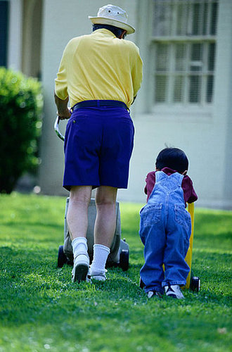 Your Lawn a Pain in the Grass? Can a Green Yard Be "Green"?
