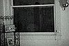 Alien video: Puppet or Real E.T.?