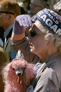 Are Your Pets Campaigning?