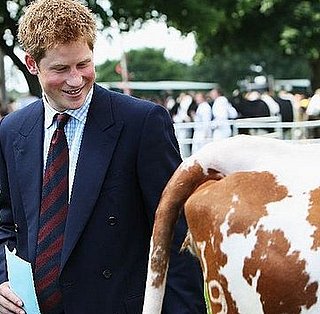 Prince Harry Visits Agricultural Show