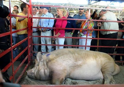 State Fairs Are Going Green