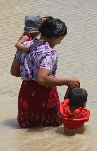 After the Cyclone, Myanmar Battles 50 Year Rat Problem