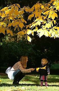 Study to Examine If Climate Change Makes Fall Foliage, Leaf