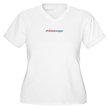 PopSugar Plus Size V-Neck Tee ($29)
