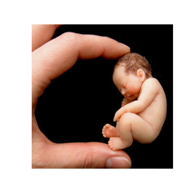 Itty Bitty Babies Itty Bitty Babies