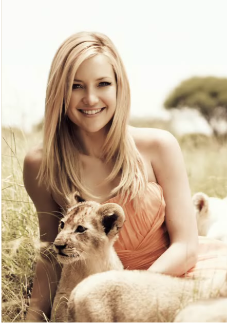 Kate Hudson Hair Products Kate Hudson Hair Products