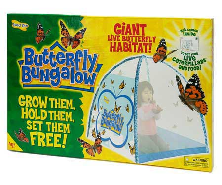 Butterfly Bungalow ($40) Butterfly Bungalow ($40)