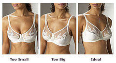 Tricks Another Mama Taught Me: Bra Fitting Tricks Another Mama Taught Me: Bra Fitting