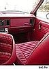 Lil Links: Should Children Be Allowed to Ride Shotgun?