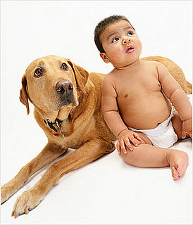 Dogs Keep Allergies at Bay