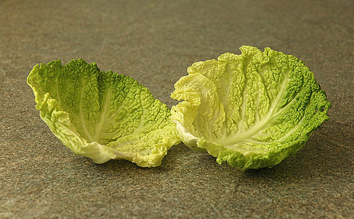 Cabbage Leaves Cabbage Leaves