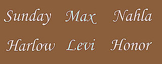 Favorite Celebrity Baby Name