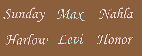 Favorite Celebrity Baby Name