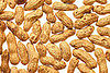 Nuts May Cause Asthma