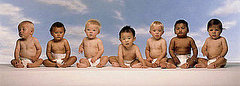 New Baby Boom New Baby Boom