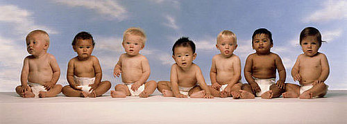 New Baby Boom